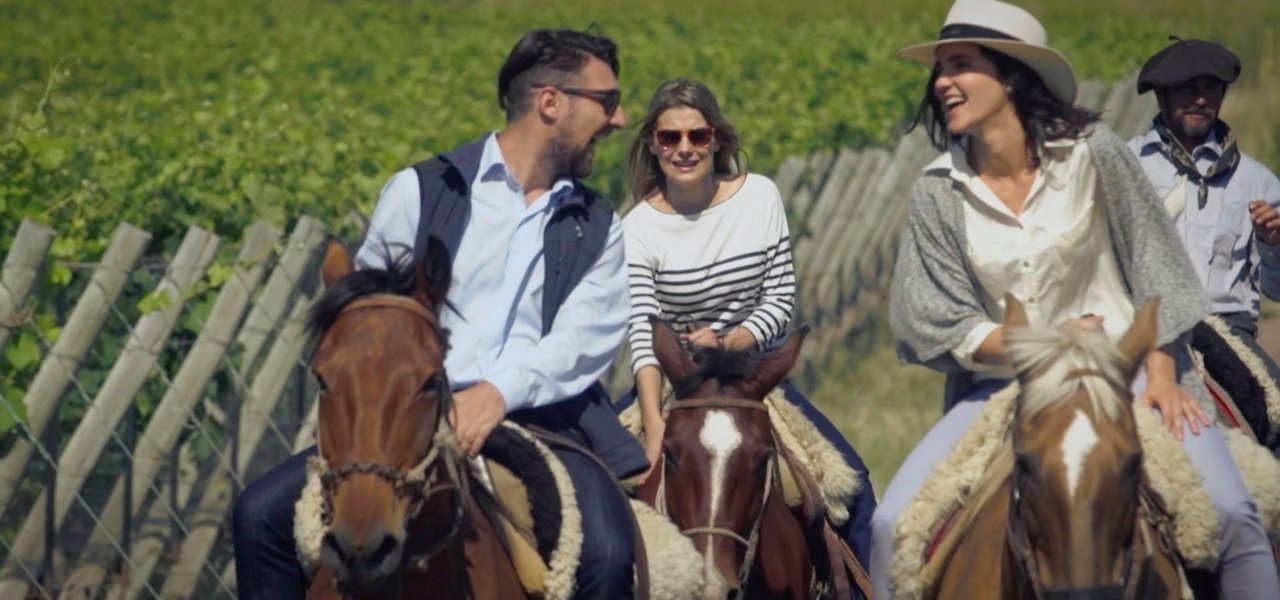 horses at clos de los siete